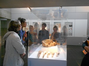 Visite de l'exposition temporaire "L'Homme de Neanderthal"